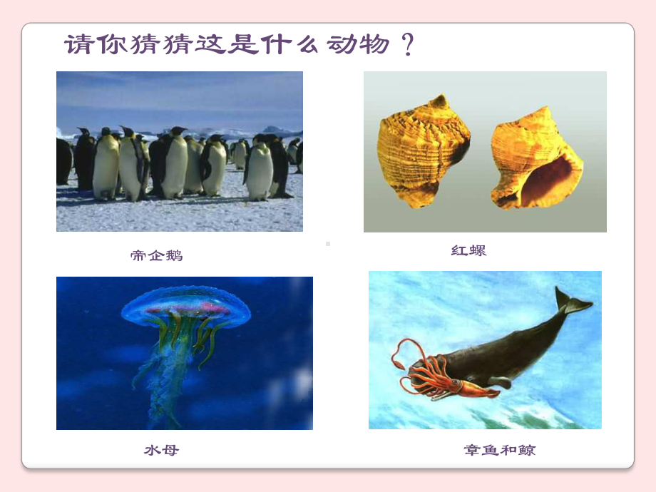 信息技术兴趣活动教案课件.ppt_第2页