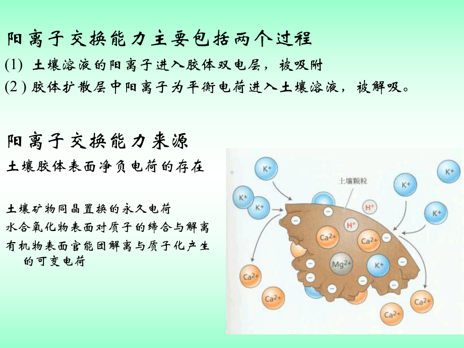 农化分析第八章土壤交换性能课件.ppt_第3页