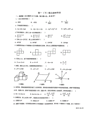 重庆市巴蜀中2021-2022学年七年级下学期开始考试数学试题.pdf