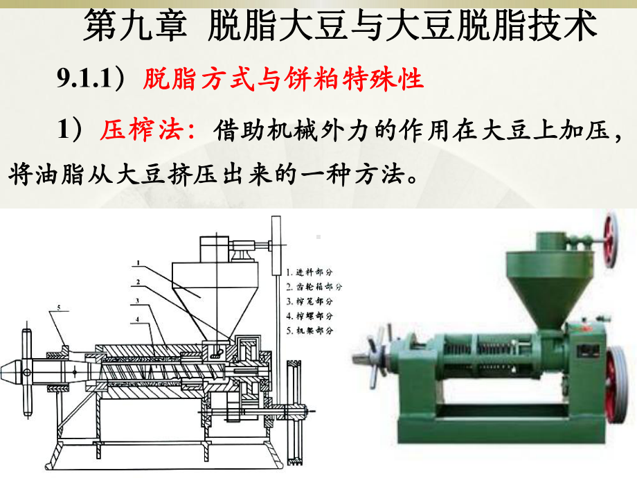 大豆制品工艺第九章脱脂大豆与大豆脱脂技术课件.pptx_第3页