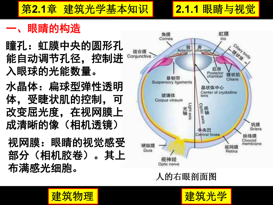 第2篇-建筑光学分析课件.ppt_第3页