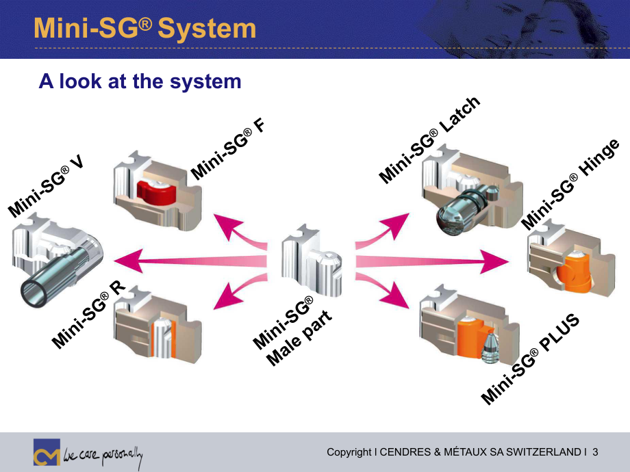 MiniSG精密附着体课件.ppt_第3页