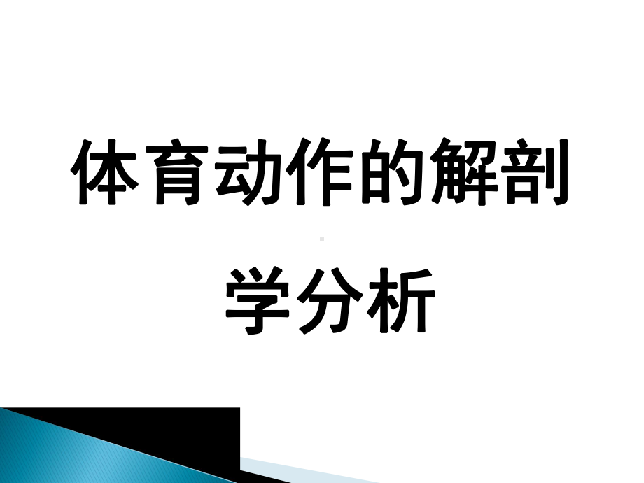 体育动作解剖学分析课件.ppt_第1页