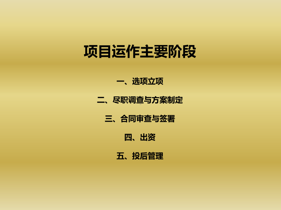 投资项目审查及风险控制要点课件.ppt_第2页