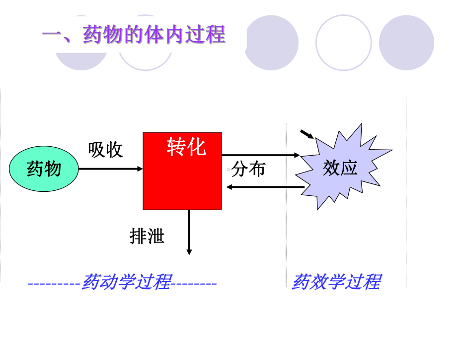 抗癌药物的药代动力学课件.ppt_第3页