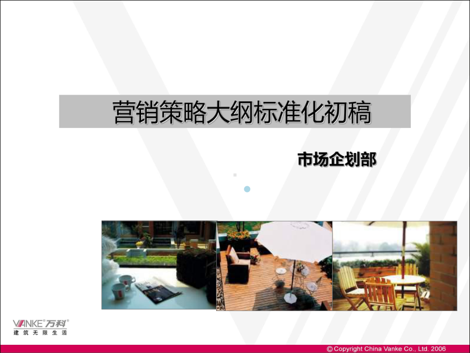 万科标准化营销策略客户营销需求与整体策略课件.ppt_第2页