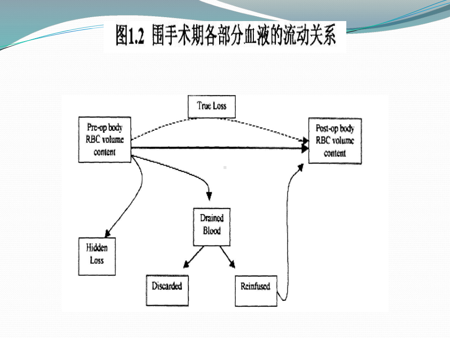 全膝关节置换术后课件.pptx_第3页