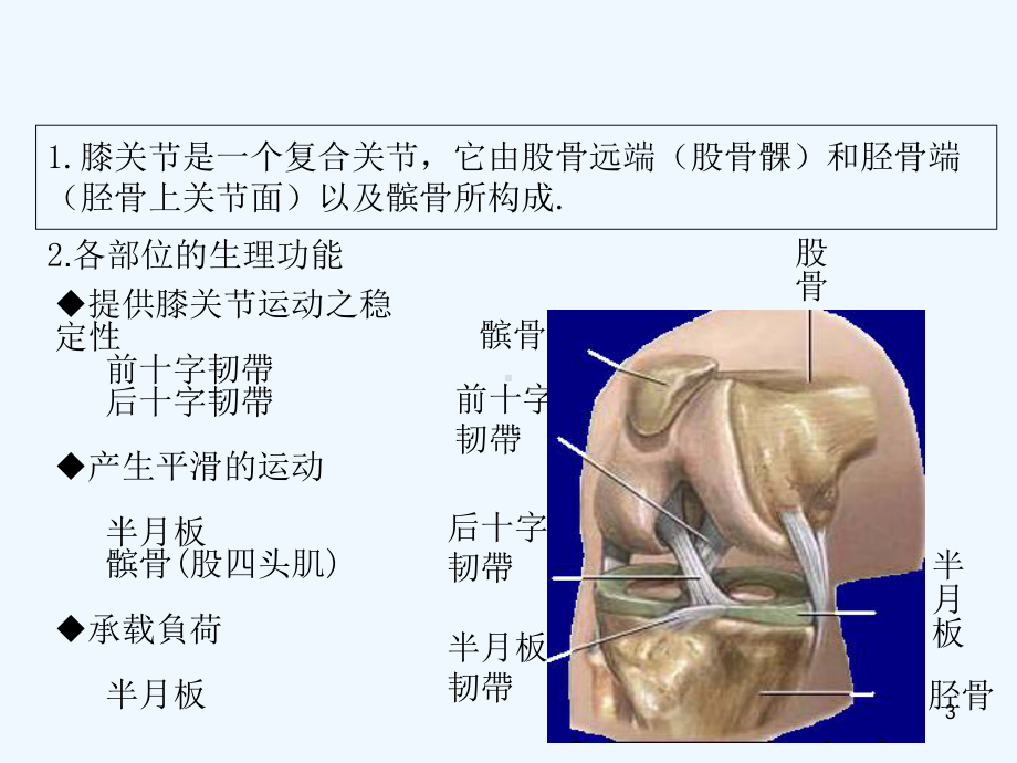 全膝关节置换术-PPT课件.ppt_第3页