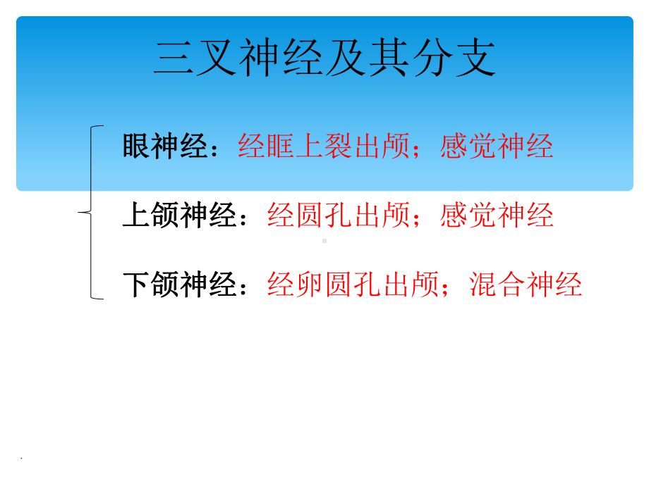 口腔实用解剖图解课件.ppt_第2页