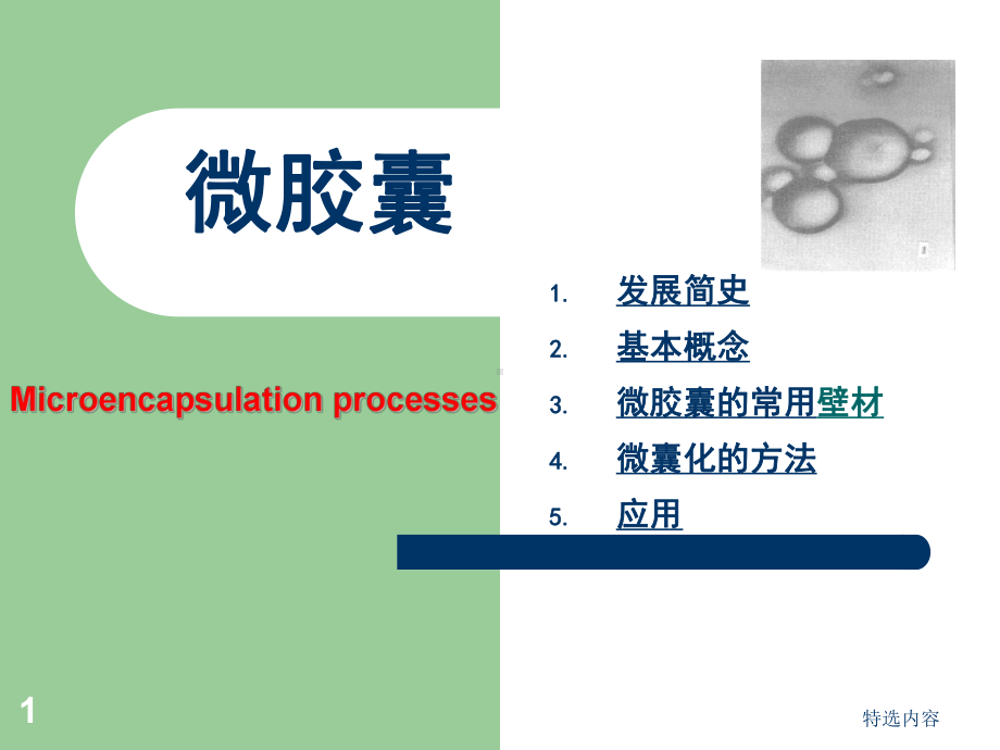 微胶囊：微胶囊的常用壁材、微囊化的方法等[学习内课件.ppt_第1页