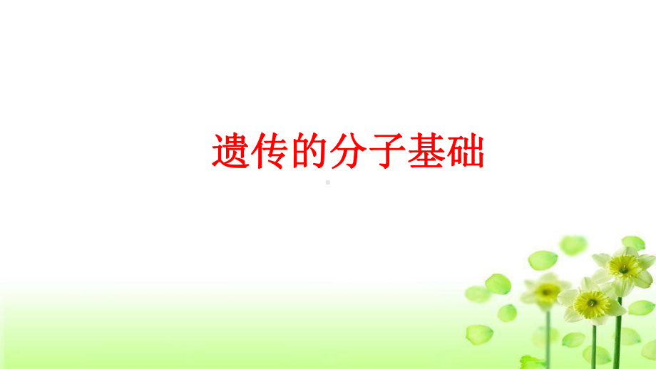 遗传的分子基础(二轮)课件.ppt_第1页