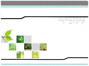 精美的商务、教学PPT模板课件.ppt