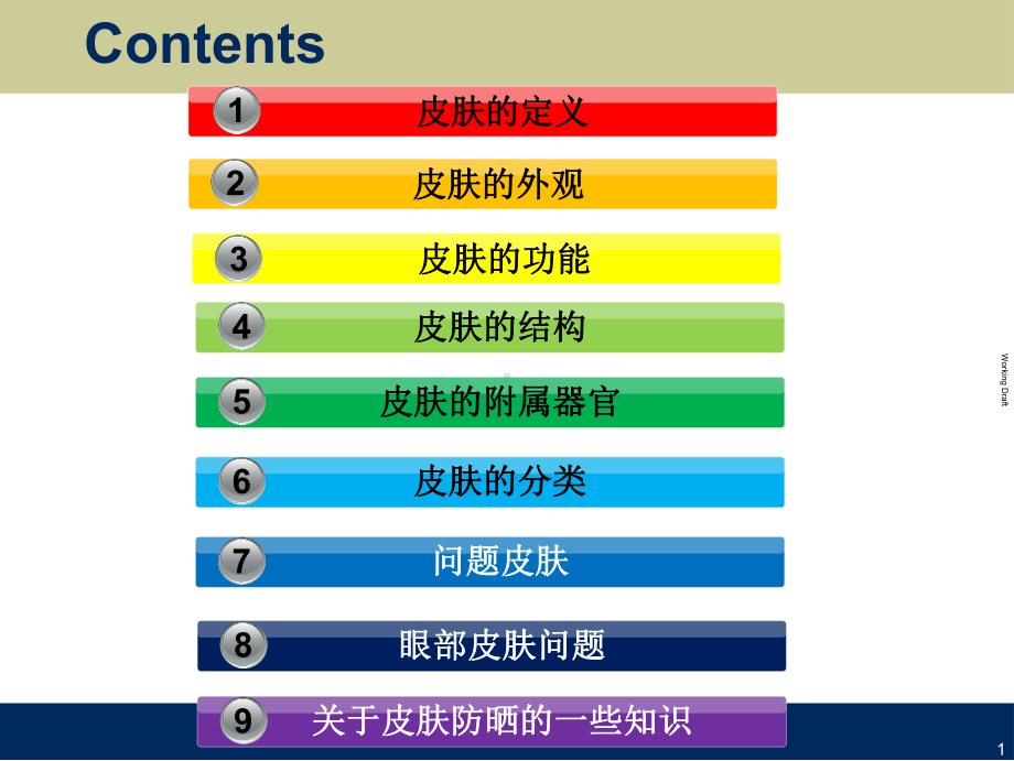 美容护肤基础知识课件.ppt_第2页