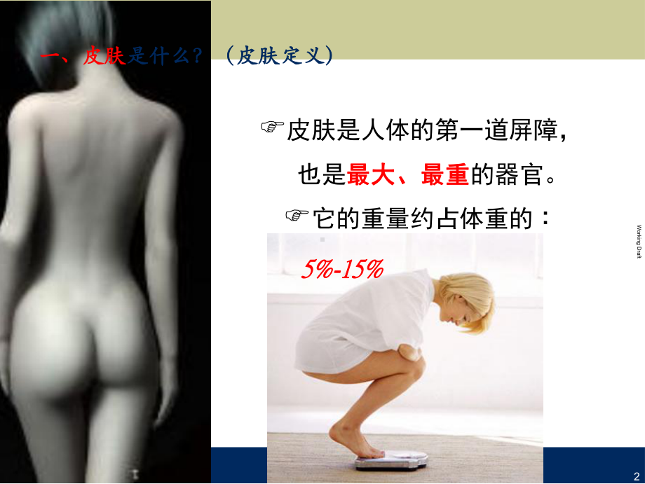 美容护肤基础知识课件.ppt_第3页