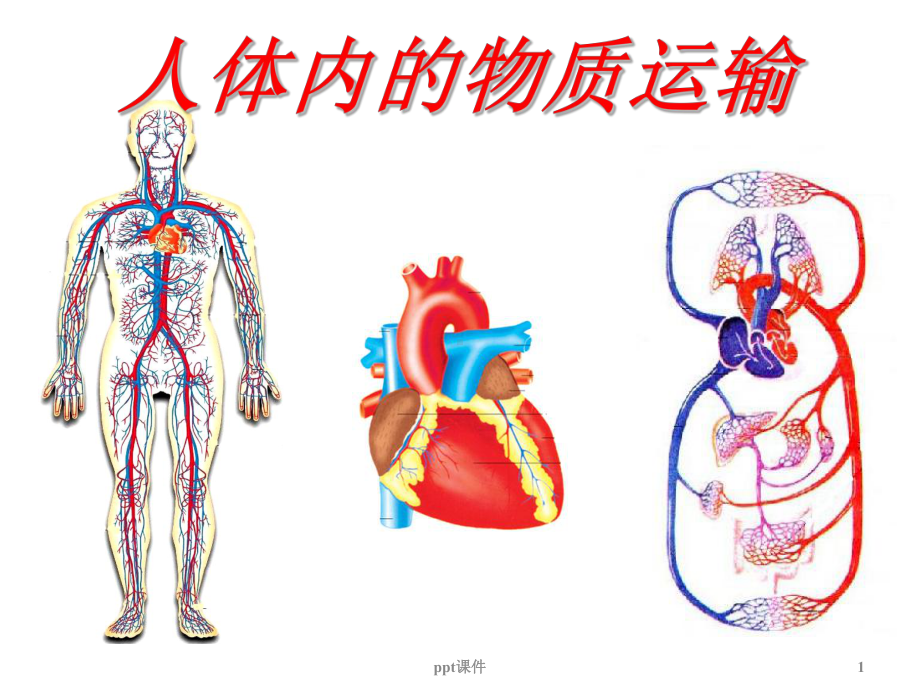 七年级生物下册-第三章《人体内物质的运输》-p课件.ppt_第1页