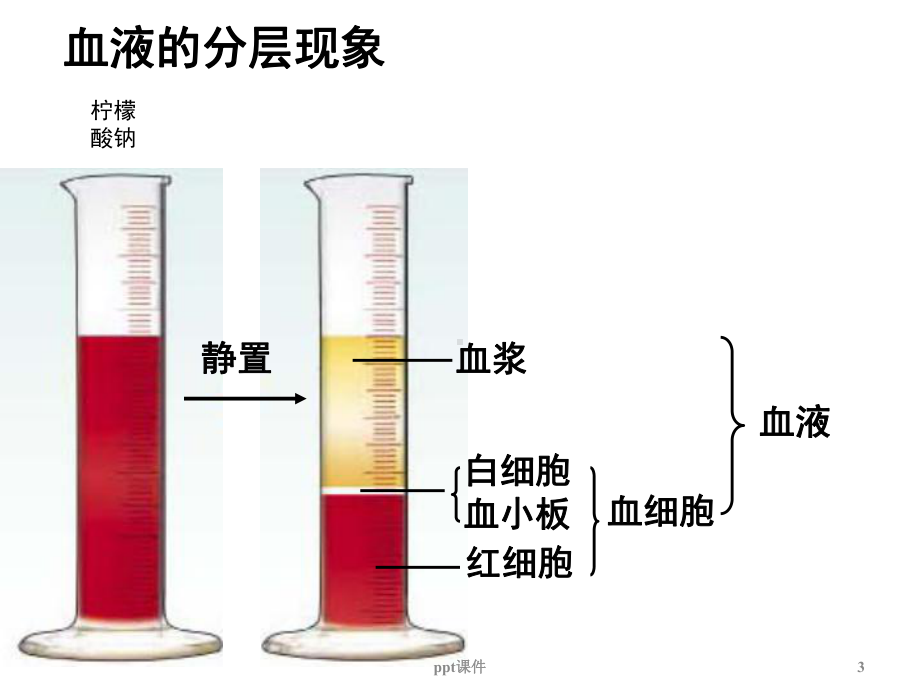 七年级生物下册-第三章《人体内物质的运输》-p课件.ppt_第3页