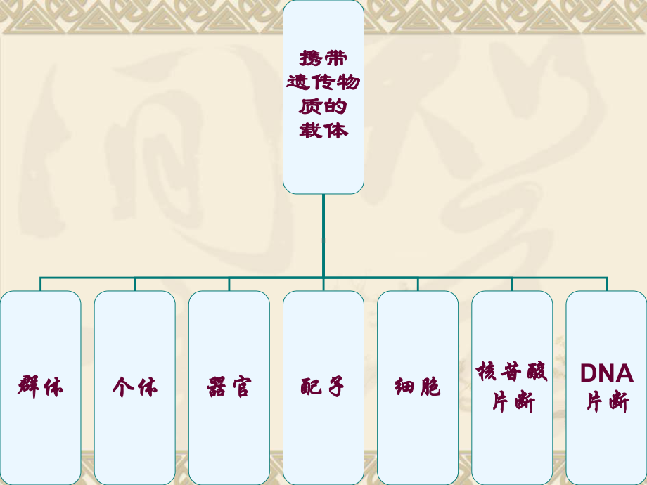 园艺植物种质资源-图文课件.ppt_第3页