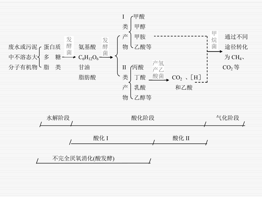 厌氧生物处理资料文档课件.ppt_第3页