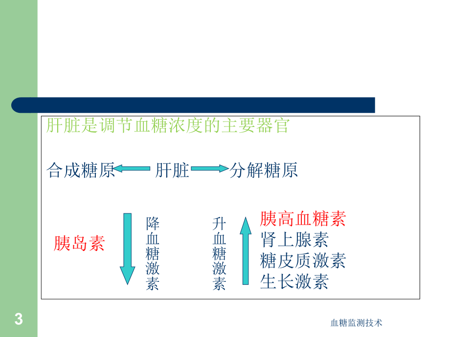 血糖监测技术-PPT课件.ppt_第3页