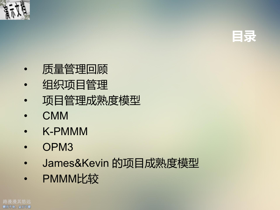 项目组织管理成熟度概述课件.ppt_第2页