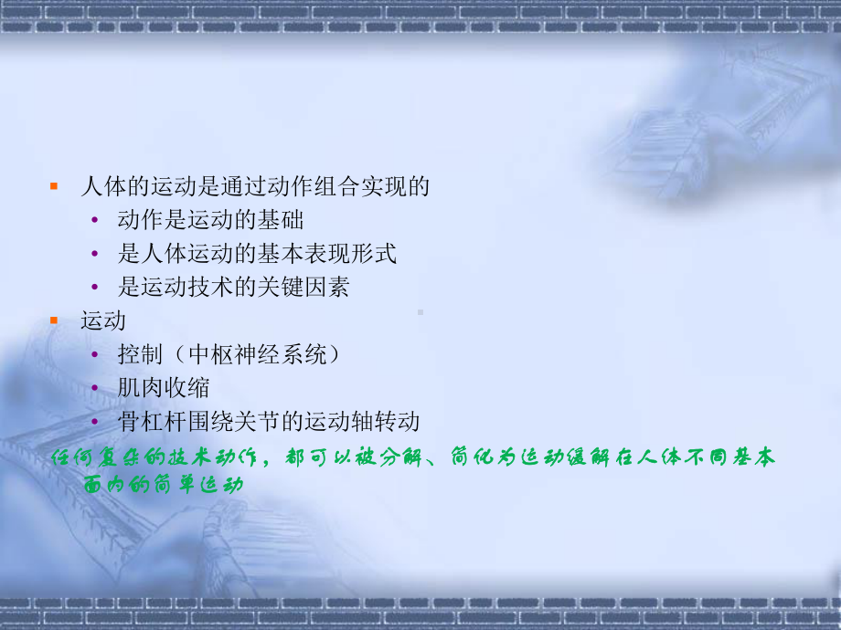 技术动作的解剖学分析(1)课件.ppt_第3页