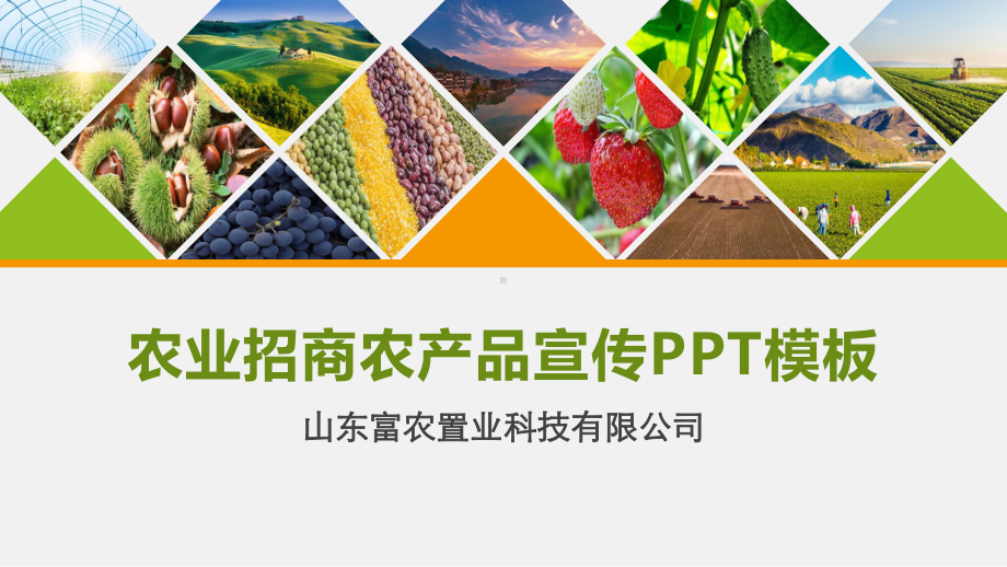 （精选）农业招商农场品宣传PPT模板ppt精美模课件.pptx_第1页