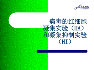 HA-HI试验课件.ppt