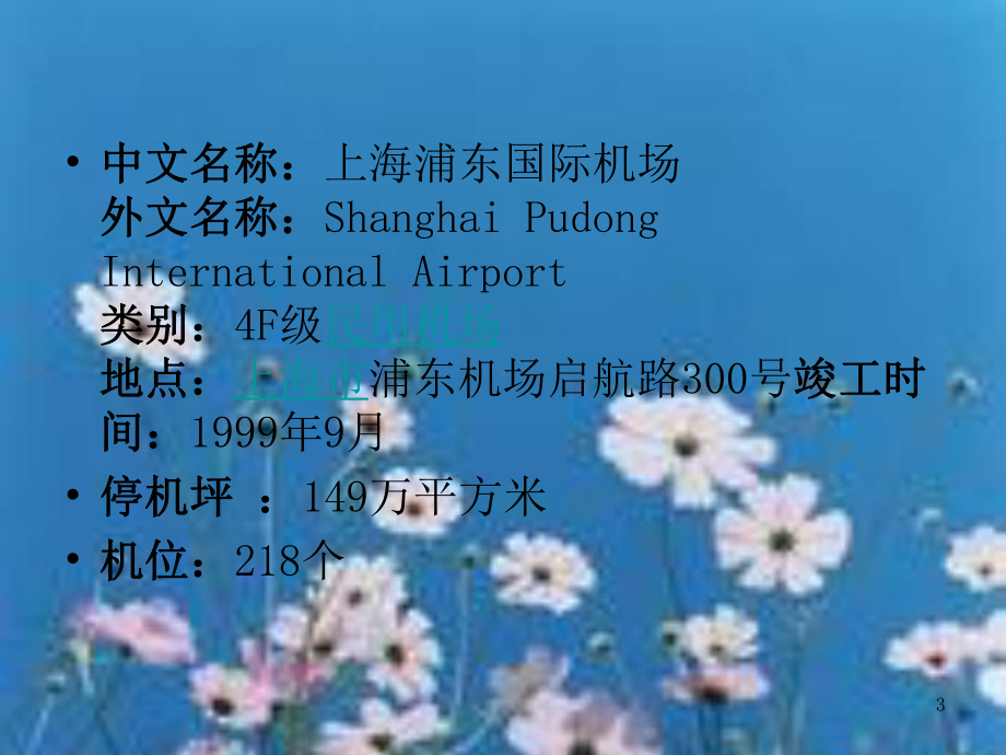 上海浦东国际机场PPT课件.ppt_第3页