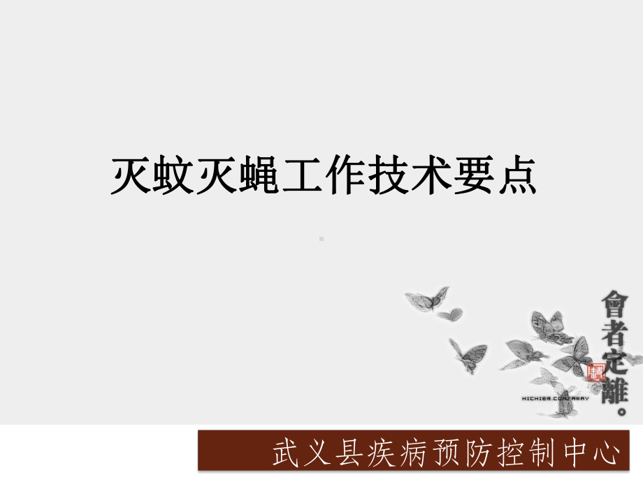 灭蚊灭蝇工作技术要点课件.ppt_第1页