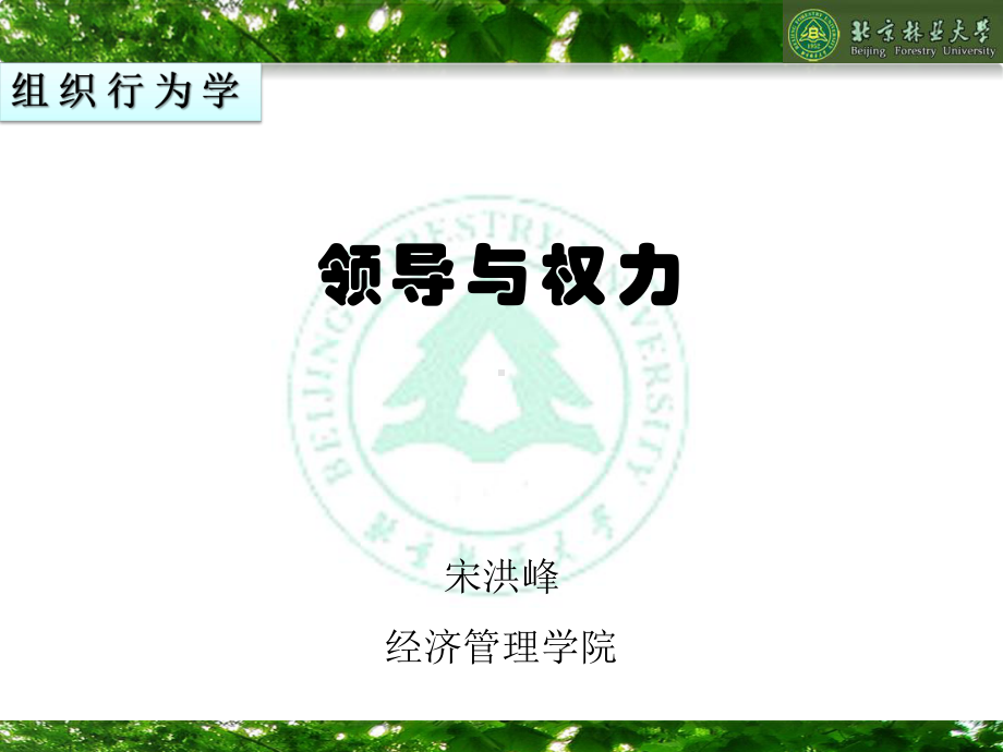 组织行为学10-领导与权力课件.ppt_第1页