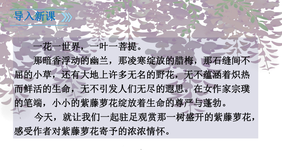 初一语文七年级下册《紫藤萝瀑布》课件.ppt_第2页