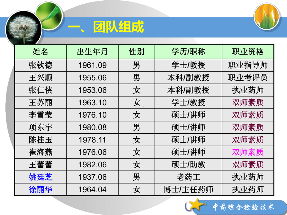 教学团队申报材料课件.ppt_第3页