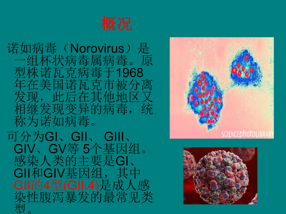 冬季传染病预防PPT课件.ppt_第3页