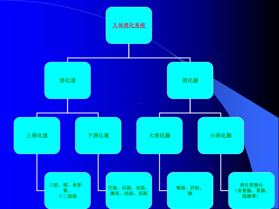 人体生理学、营养学基础课件.ppt_第3页