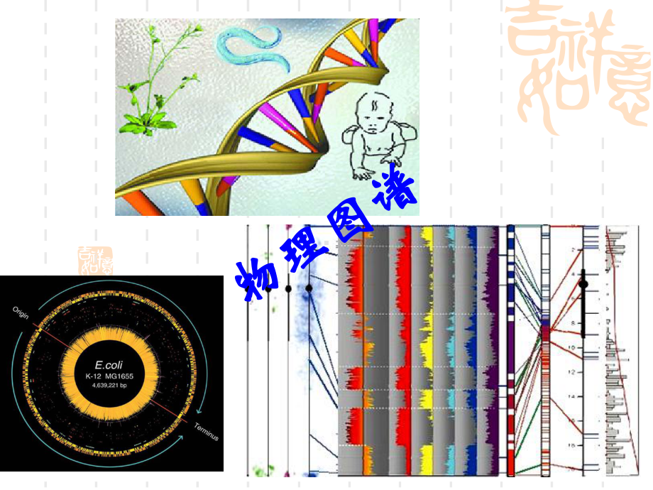 组学研究技术课件.ppt_第3页