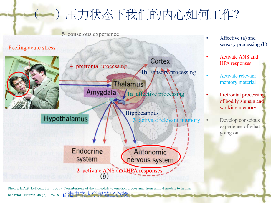 压力缓解情绪调节的有效策略课件.ppt_第3页