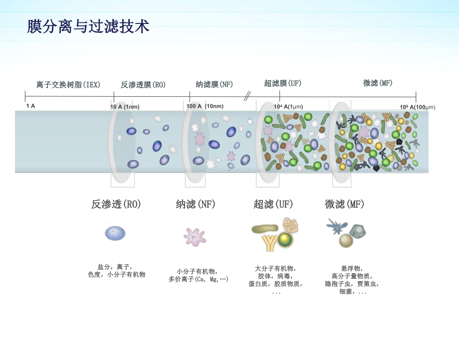 超滤膜技术介绍及应用课件.pptx_第3页