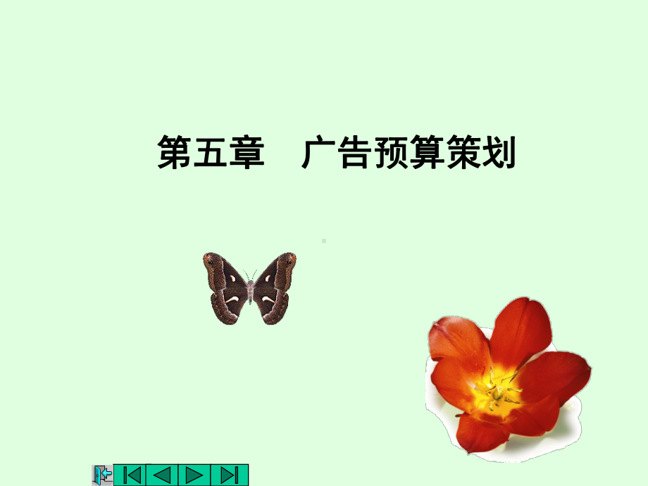 第五章广告预算策划课件.ppt_第1页