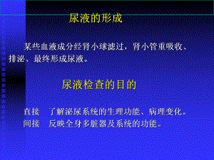 尿液检查的目的与用途课件.ppt