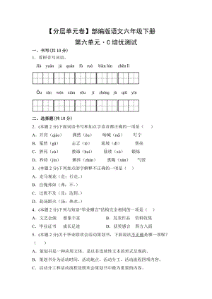 六年级语文下册（分层单元卷）第六单元-C培优测试（有答案）.docx