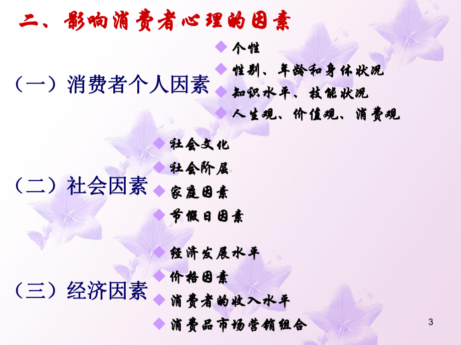 市场营销-消费者行为分析课件.ppt_第3页