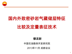 国内外致密气藏储层特征比较及定量表征技术PPT课课件.ppt