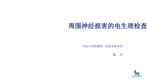 周围神经损害的电生理检查课件.ppt