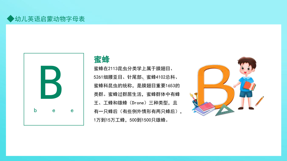 幼儿园幼儿英语启蒙动物字母表动态PPT模板.pptx_第3页