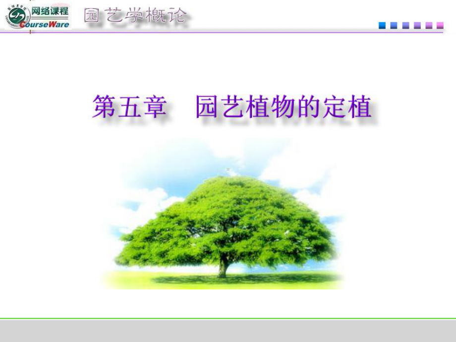 第五章园艺植物定植技术课件.ppt_第1页