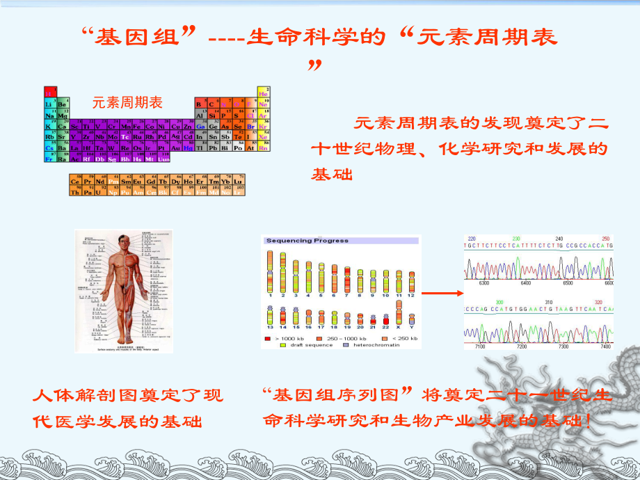 基因组测序的原理与方法课件.ppt_第2页