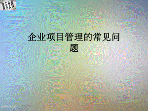 企业项目管理的常见问题课件.ppt