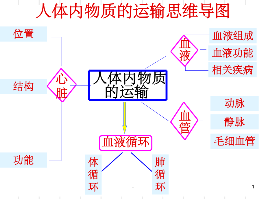 血液循环系统-ppt课件.ppt_第1页