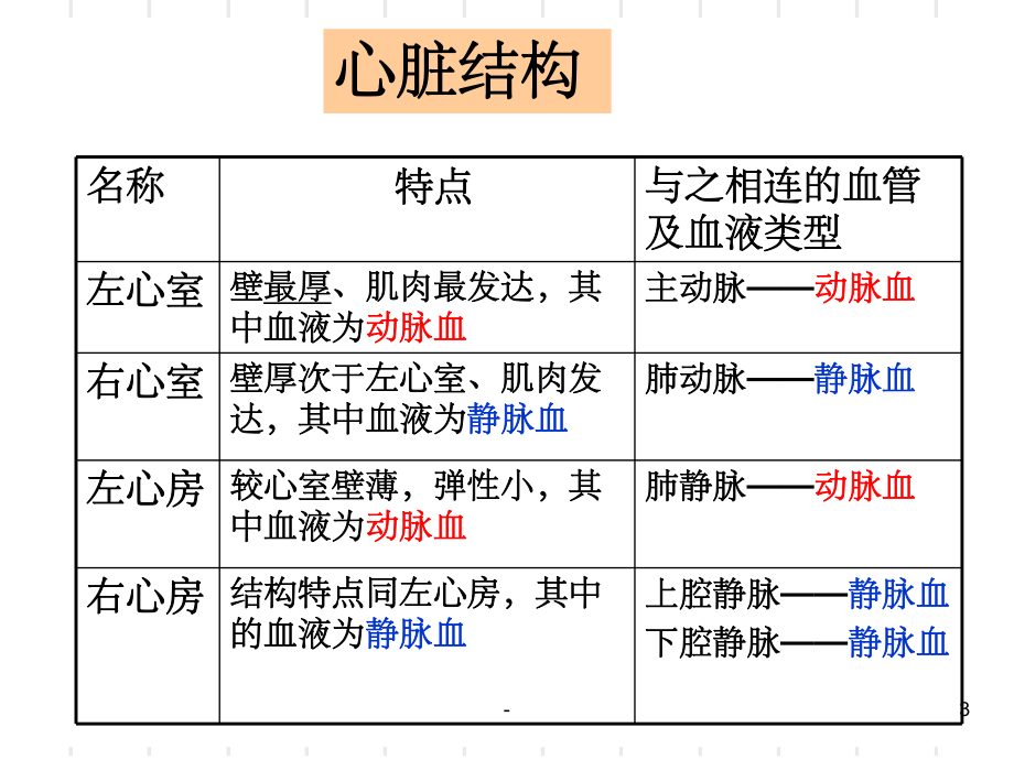 血液循环系统-ppt课件.ppt_第3页