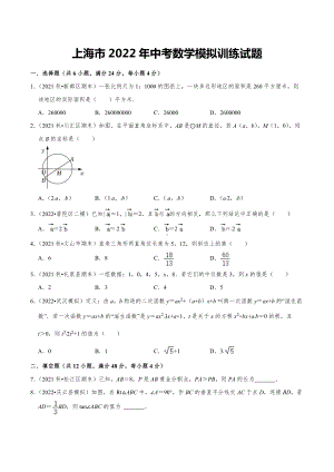 2022年上海市中考数学模拟训练试题.docx